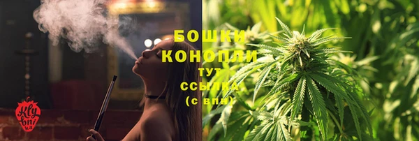 дурь Бронницы