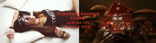 дурь Бронницы