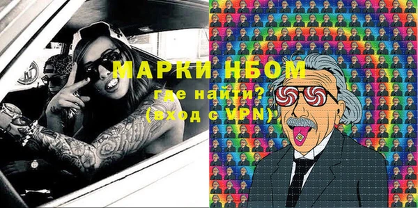 гидра Бородино