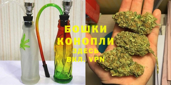 дурь Бронницы