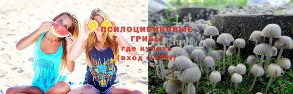 дурь Бронницы