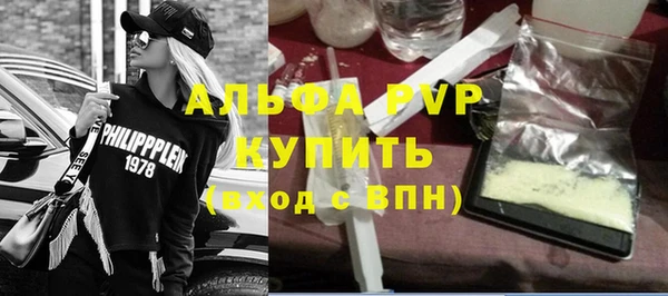 гидра Бородино