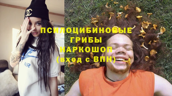 дурь Бронницы
