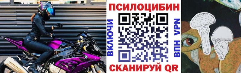 Псилоцибиновые грибы Psilocybine cubensis  нарко площадка наркотические препараты  Яранск 